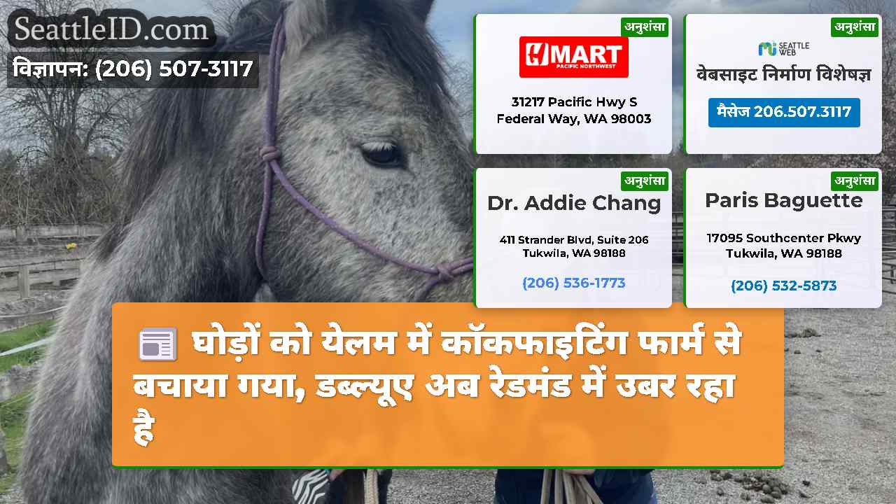 घोड़ों को येलम में कॉकफाइटिंग फार्म से बचाया गया,