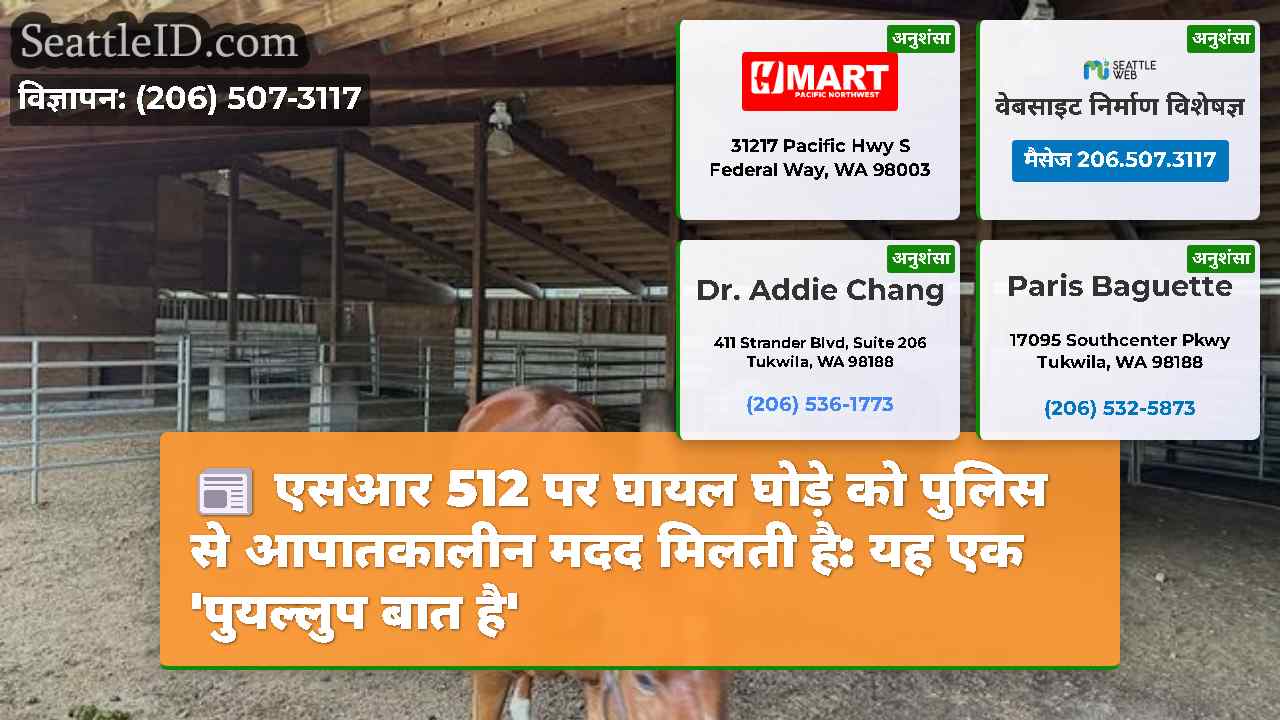 सिएटल समाचार SeattleID