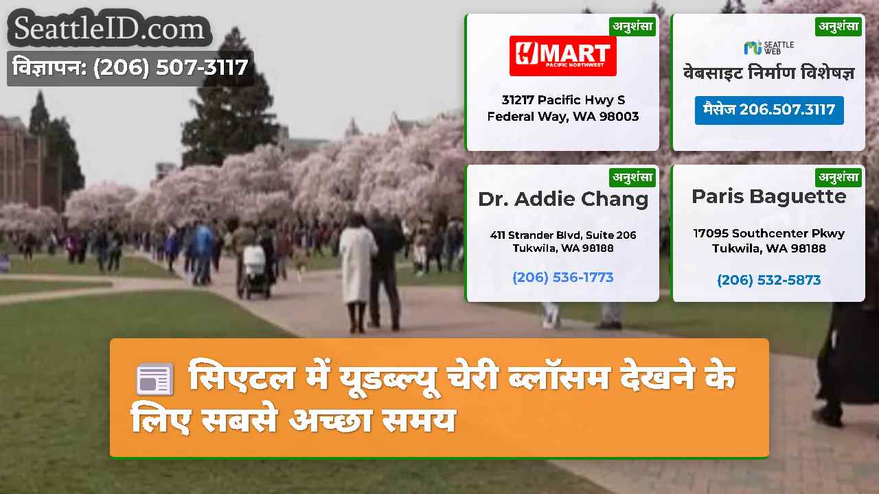 सिएटल में यूडब्ल्यू चेरी ब्लॉसम देखने के लिए सबसे
