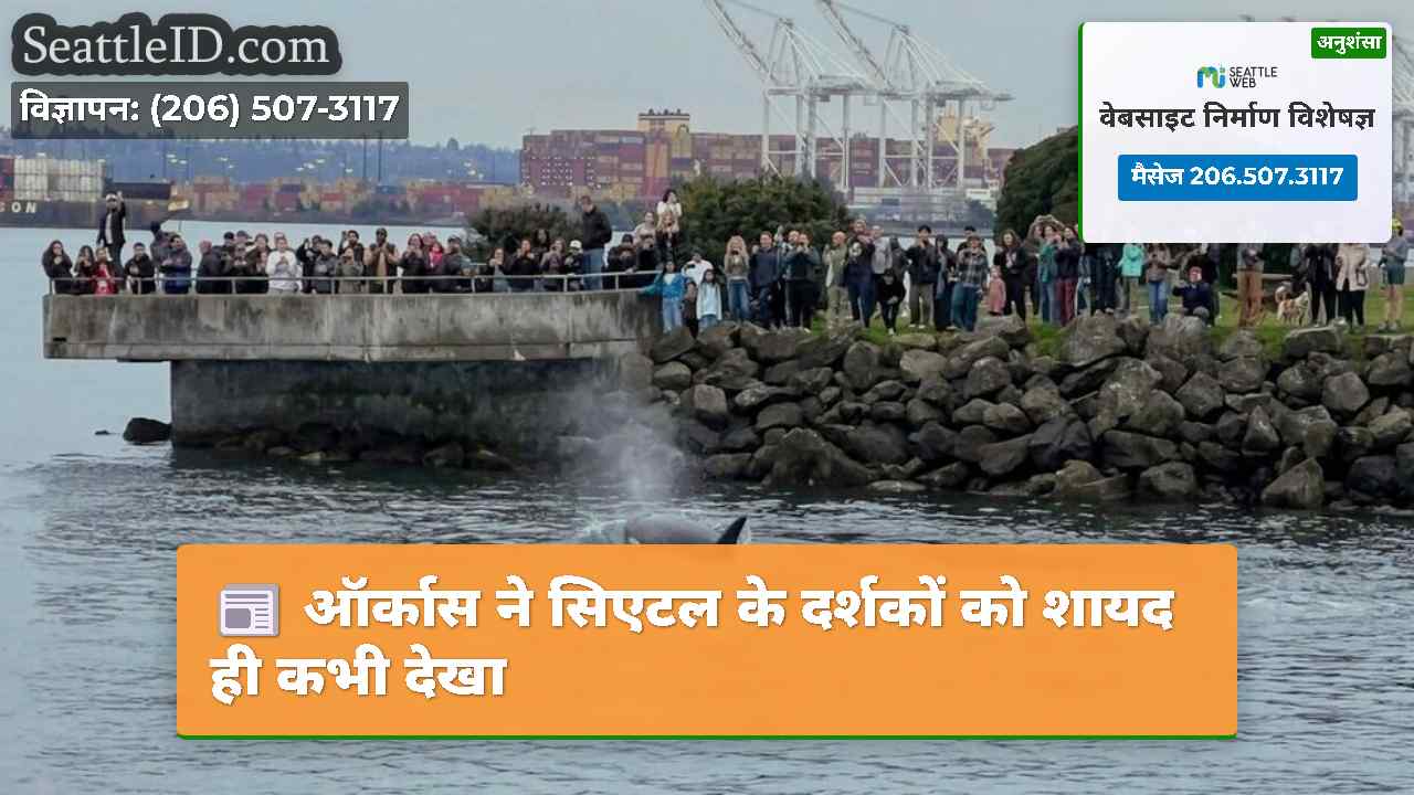 ऑर्कास ने सिएटल के दर्शकों को शायद ही कभी देखा
