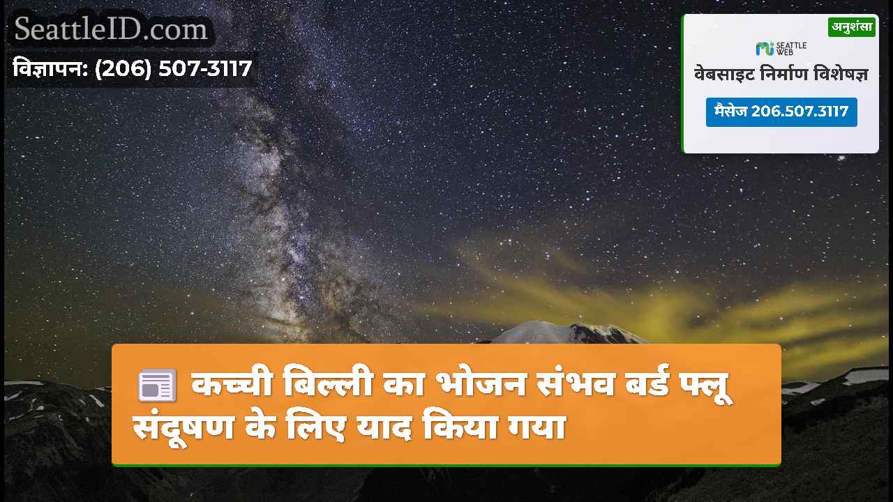 सिएटल समाचार SeattleID