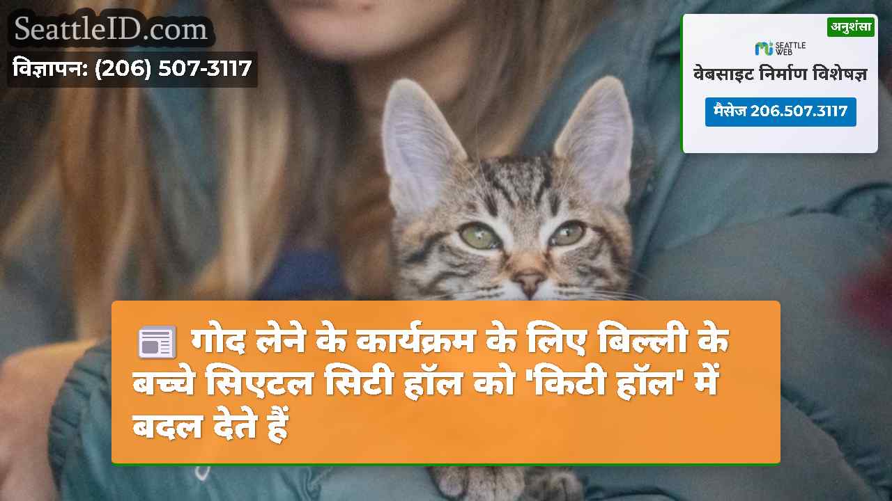 गोद लेने के कार्यक्रम के लिए बिल्ली के बच्चे