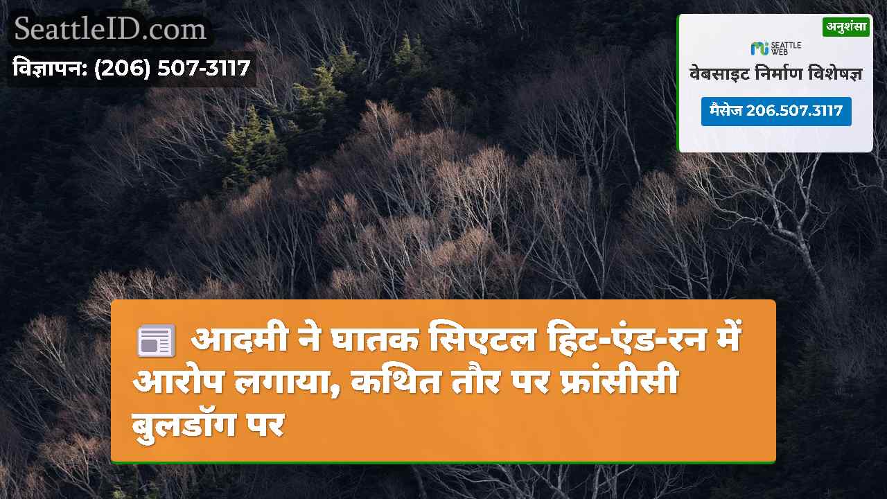 सिएटल समाचार SeattleID