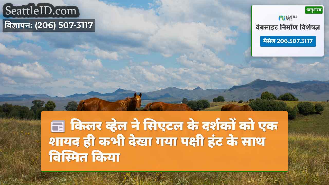 किलर व्हेल ने सिएटल के दर्शकों को एक शायद ही कभी