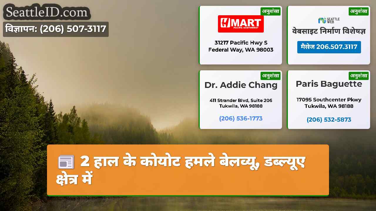 2 हाल के कोयोट हमले बेलव्यू, डब्ल्यूए क्षेत्र में