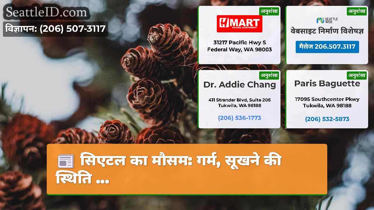 सिएटल समाचार SeattleID