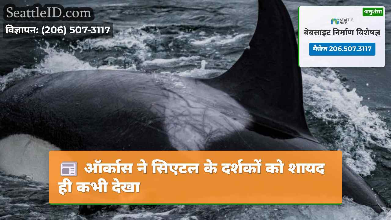 सिएटल समाचार SeattleID
