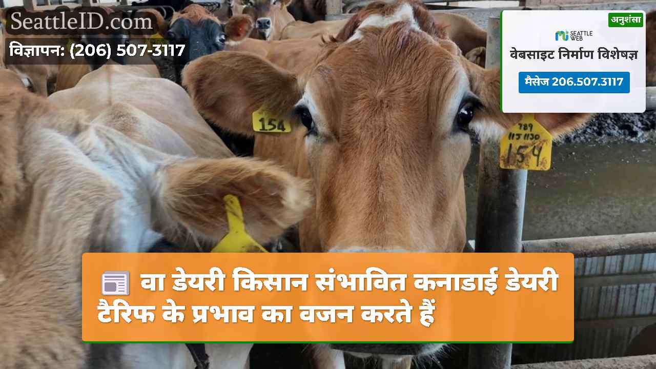 वा डेयरी किसान संभावित कनाडाई डेयरी टैरिफ के