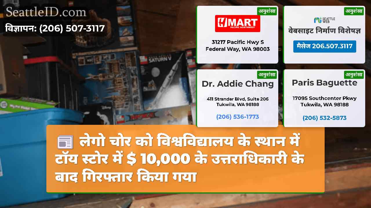 लेगो चोर को विश्वविद्यालय के स्थान में टॉय स्टोर