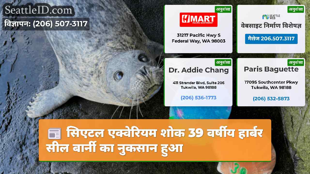 सिएटल समाचार SeattleID