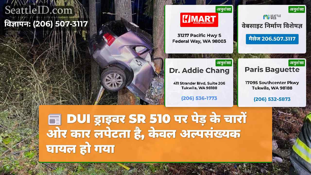 DUI ड्राइवर SR 510 पर पेड़ के चारों ओर कार लपेटता