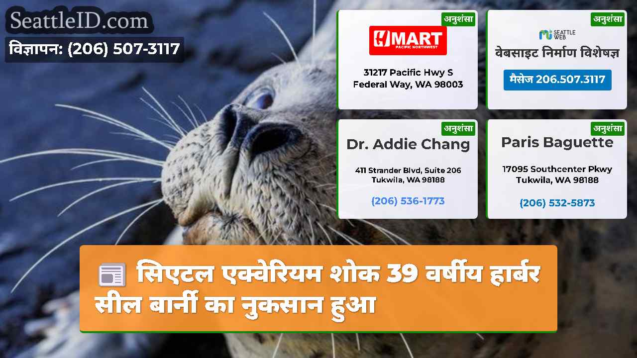 सिएटल समाचार SeattleID