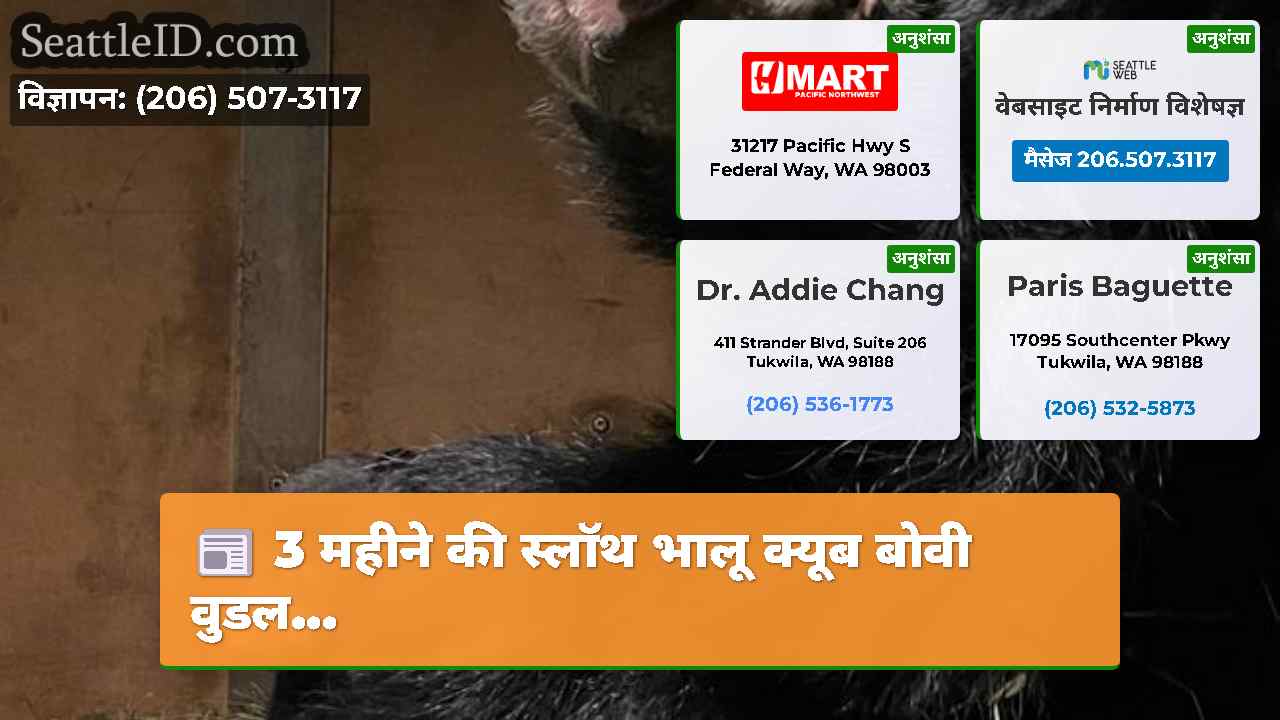 सिएटल समाचार SeattleID