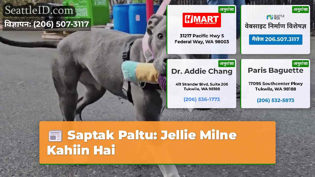 Saptak Paltu: Jellie Milne Kahiin Hai