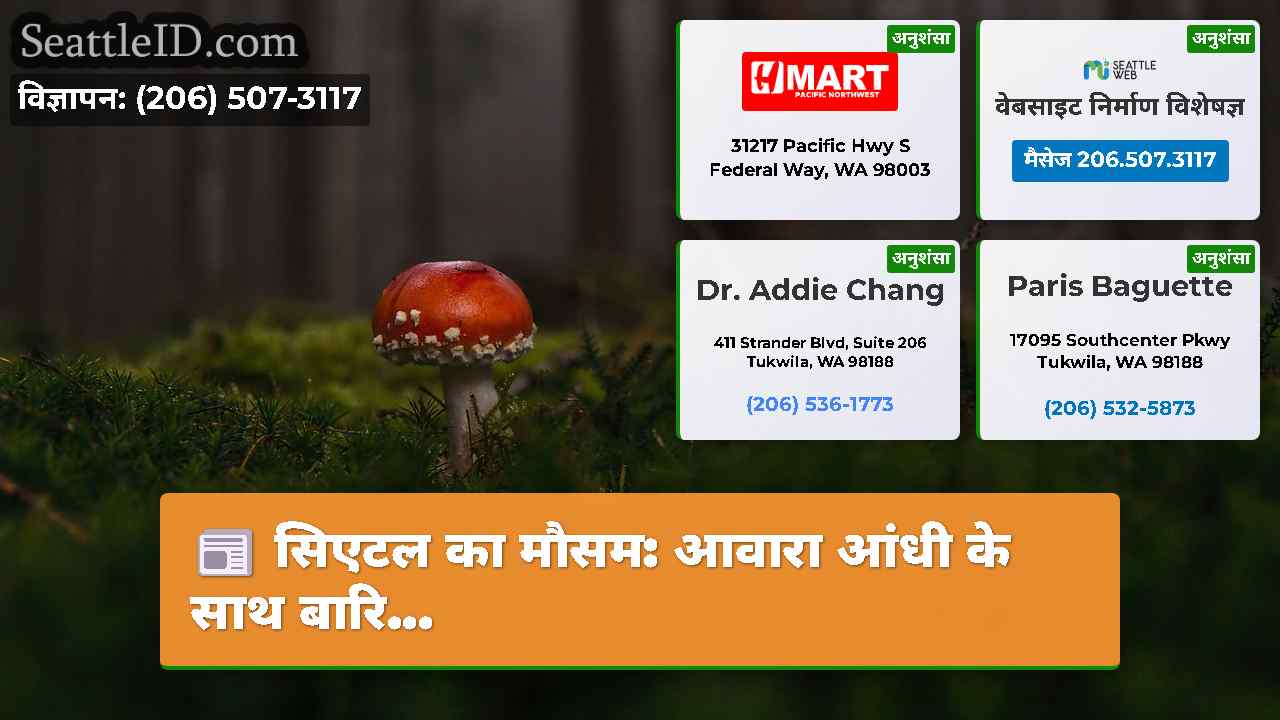 सिएटल समाचार SeattleID