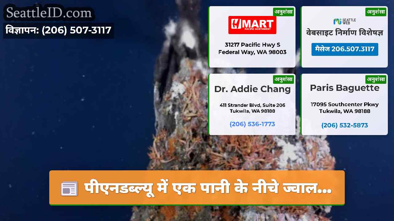 सिएटल समाचार SeattleID