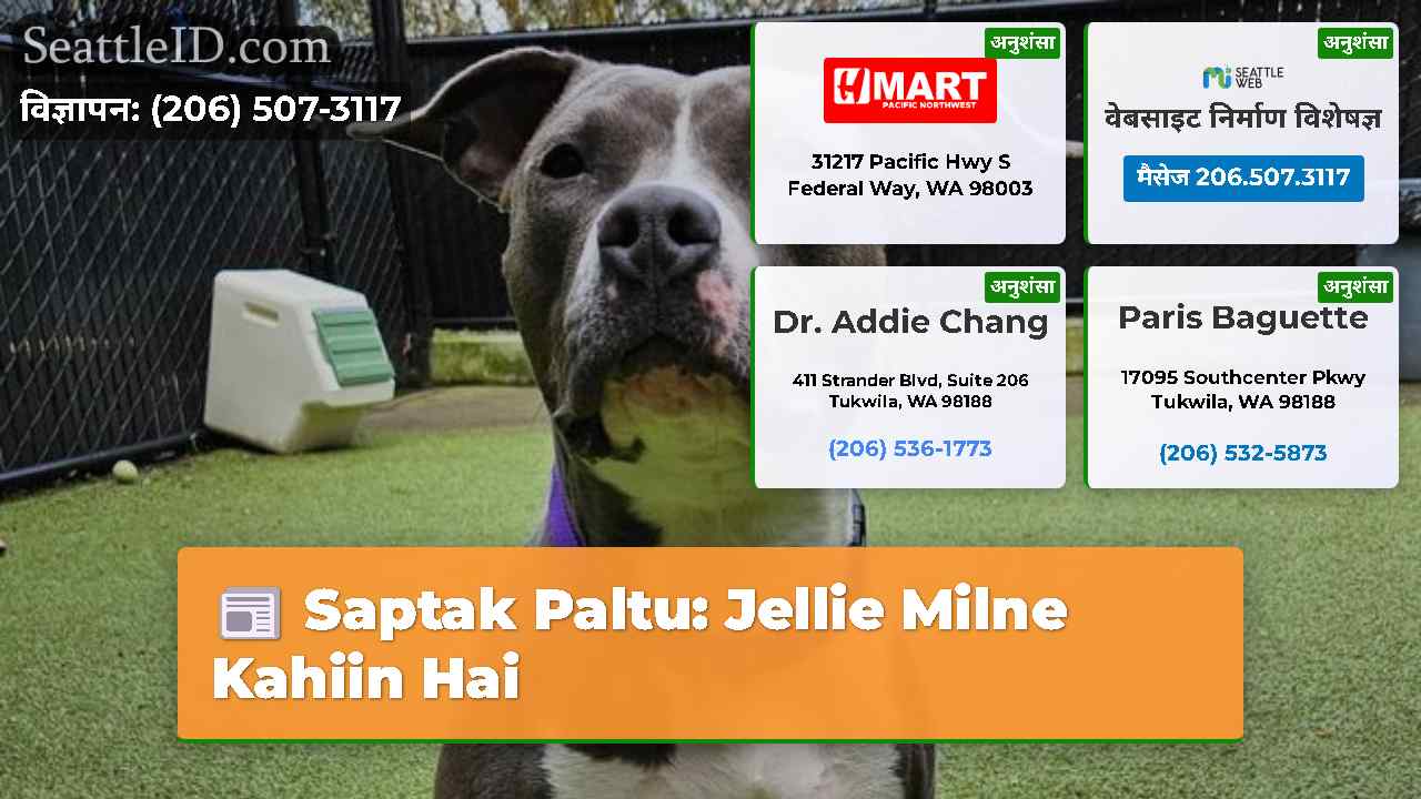 सिएटल समाचार SeattleID