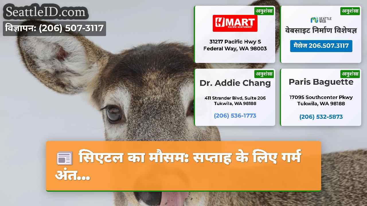 सिएटल समाचार SeattleID