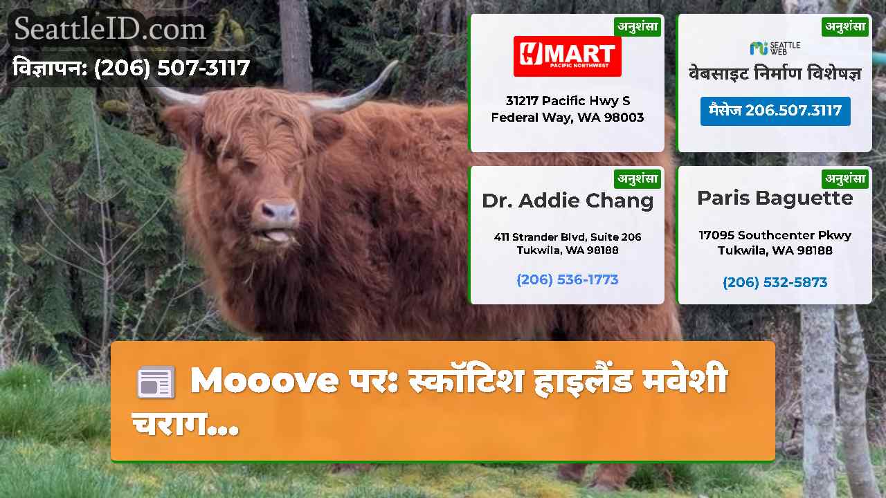 सिएटल समाचार SeattleID