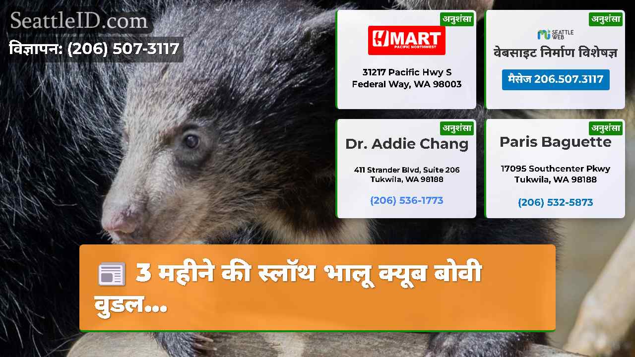 3 महीने की स्लॉथ भालू क्यूब बोवी वुडल...