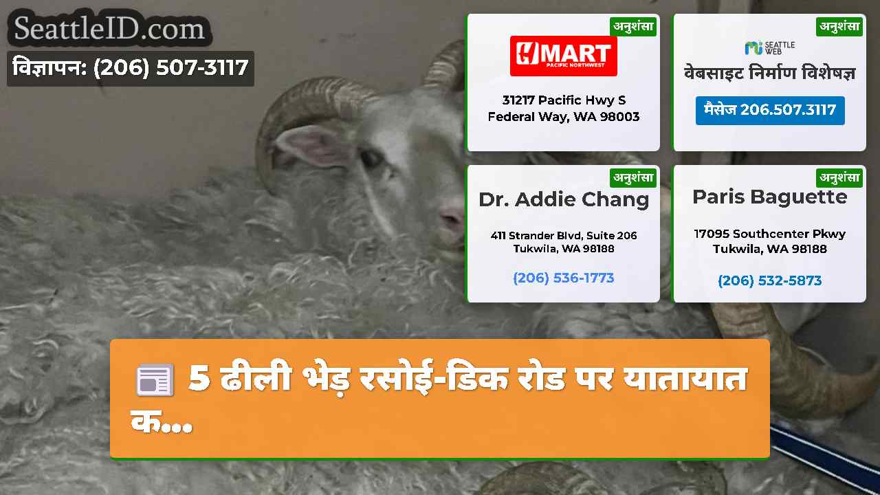 5 ढीली भेड़ रसोई-डिक रोड पर यातायात क...