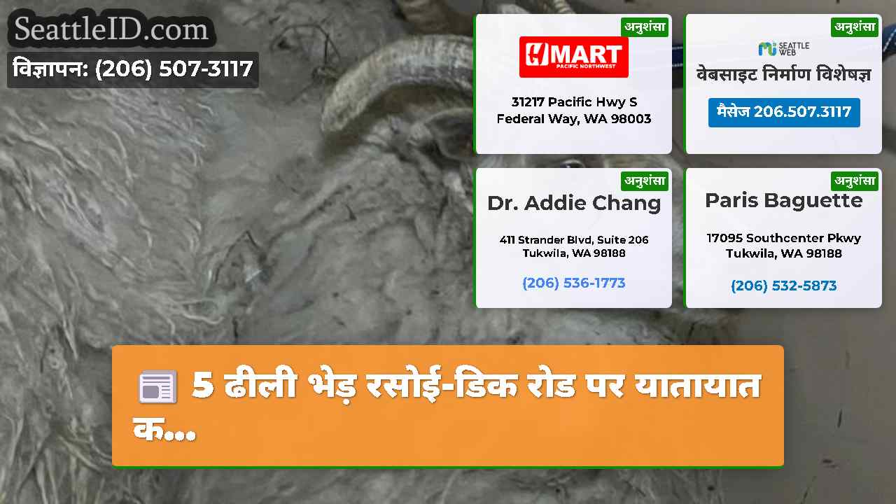 सिएटल समाचार SeattleID