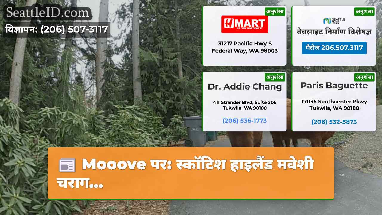 सिएटल समाचार SeattleID