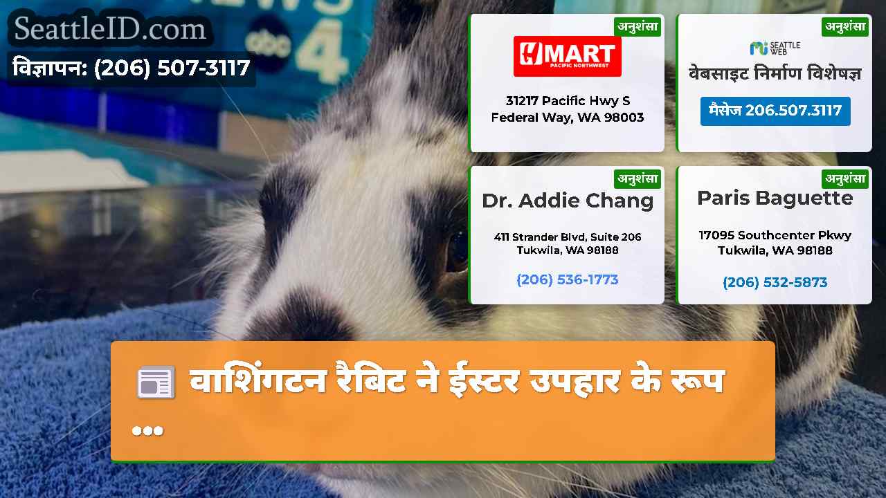 वाशिंगटन रैबिट ने ईस्टर उपहार के रूप ...
