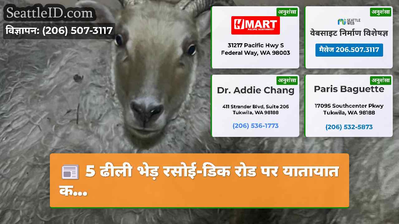 सिएटल समाचार SeattleID