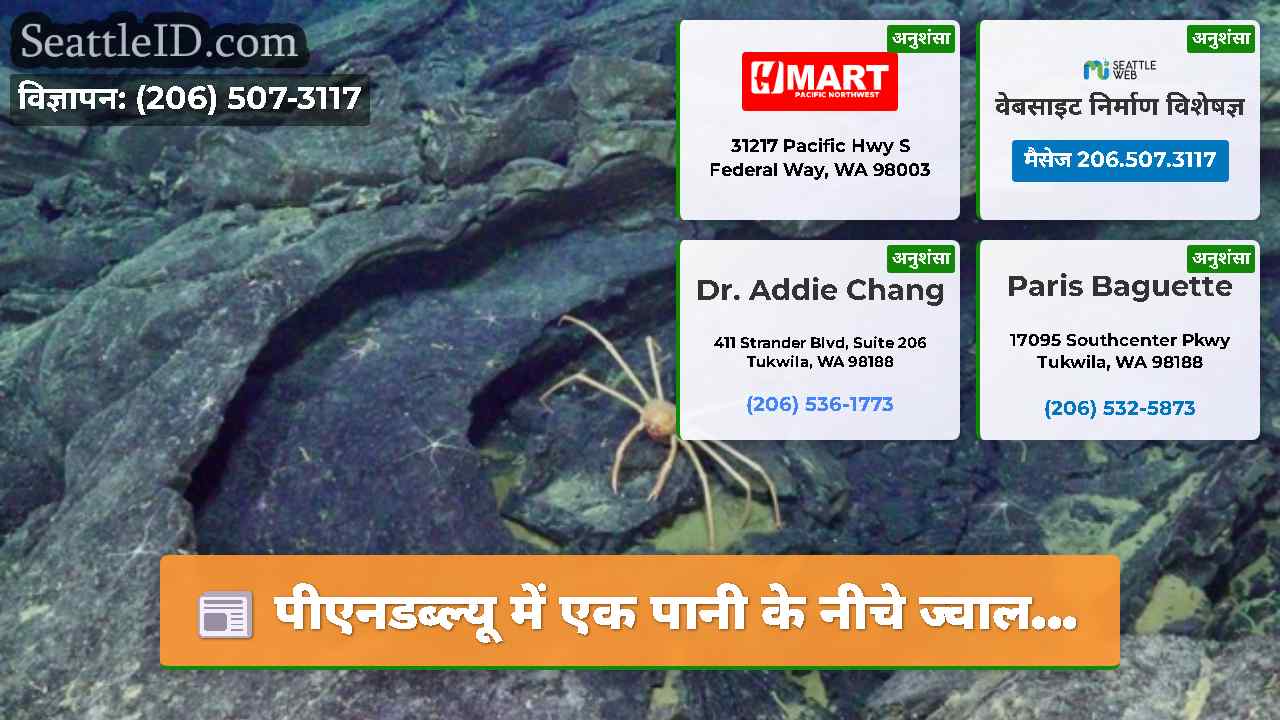 सिएटल समाचार SeattleID