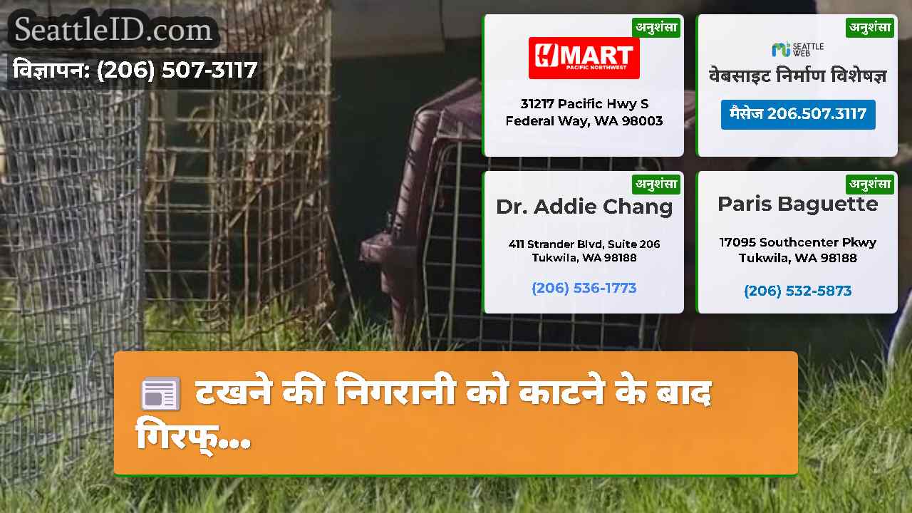 सिएटल समाचार SeattleID