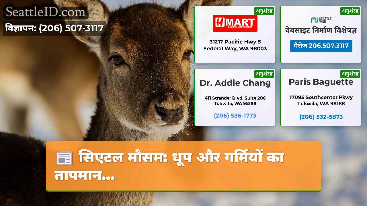 सिएटल समाचार SeattleID