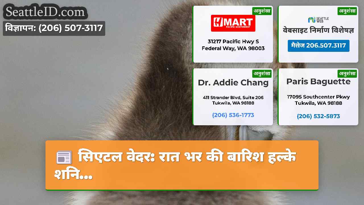 सिएटल समाचार SeattleID