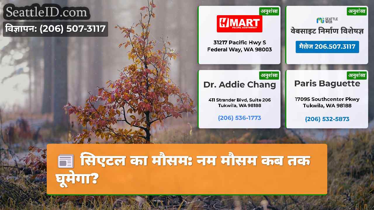 सिएटल का मौसम: नम मौसम कब तक घूमेगा?