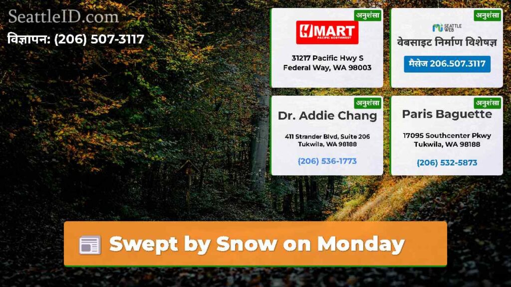 Swept by Snow on Monday