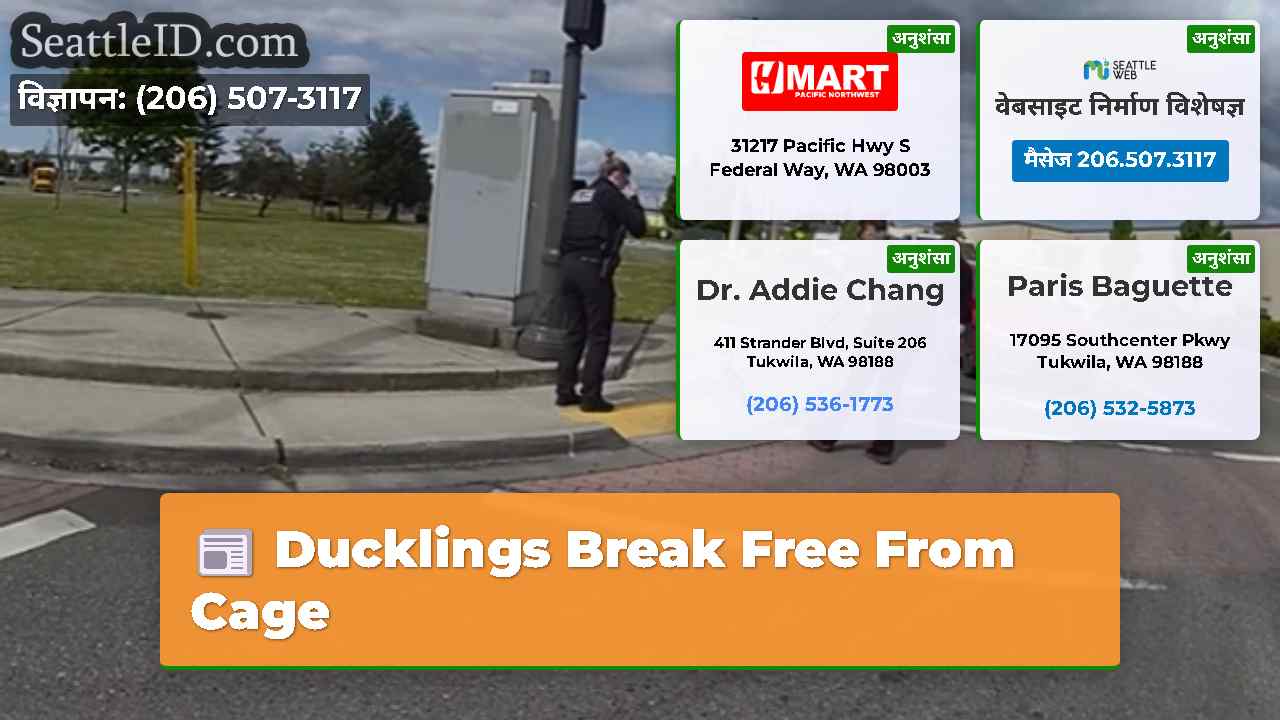 सिएटल समाचार SeattleID