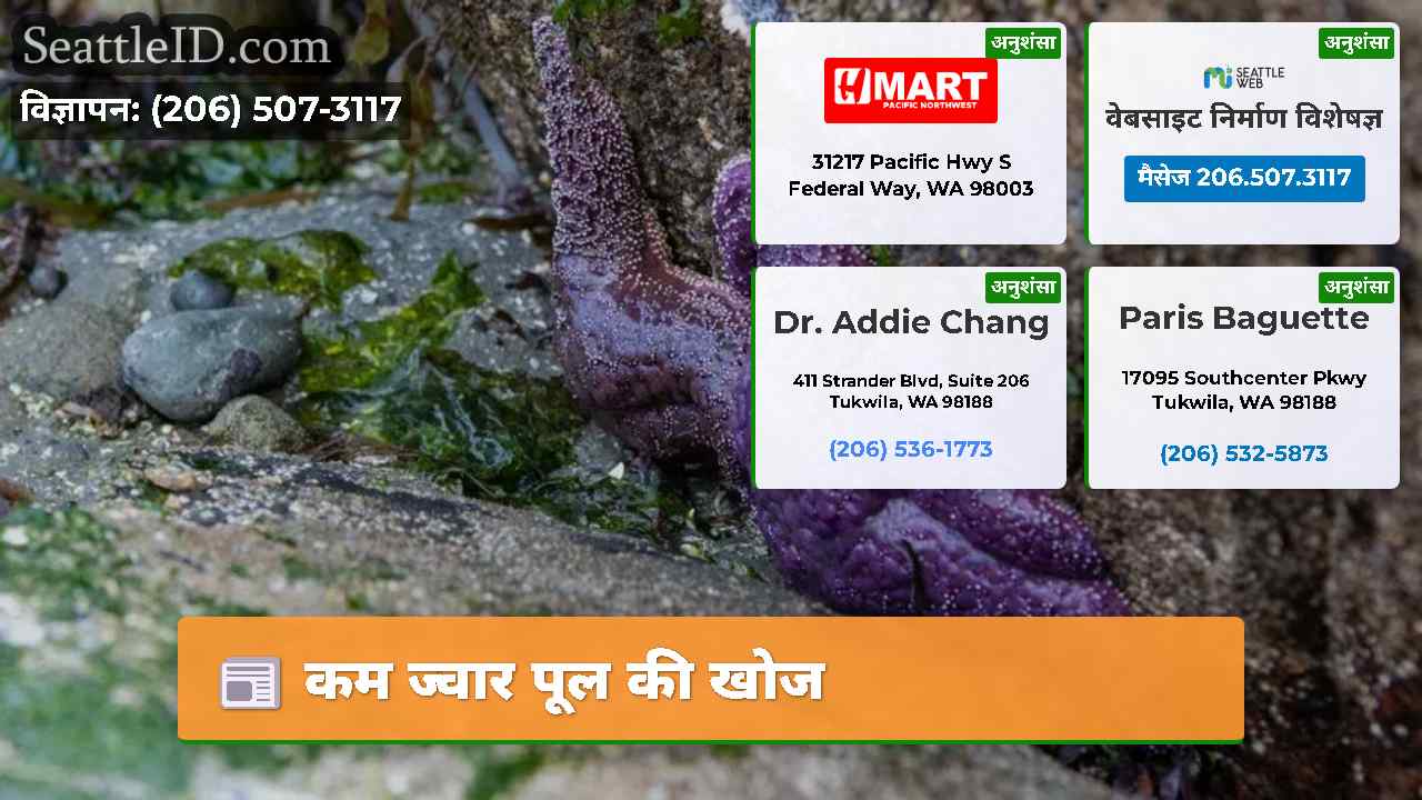 कम ज्वार पूल की खोज