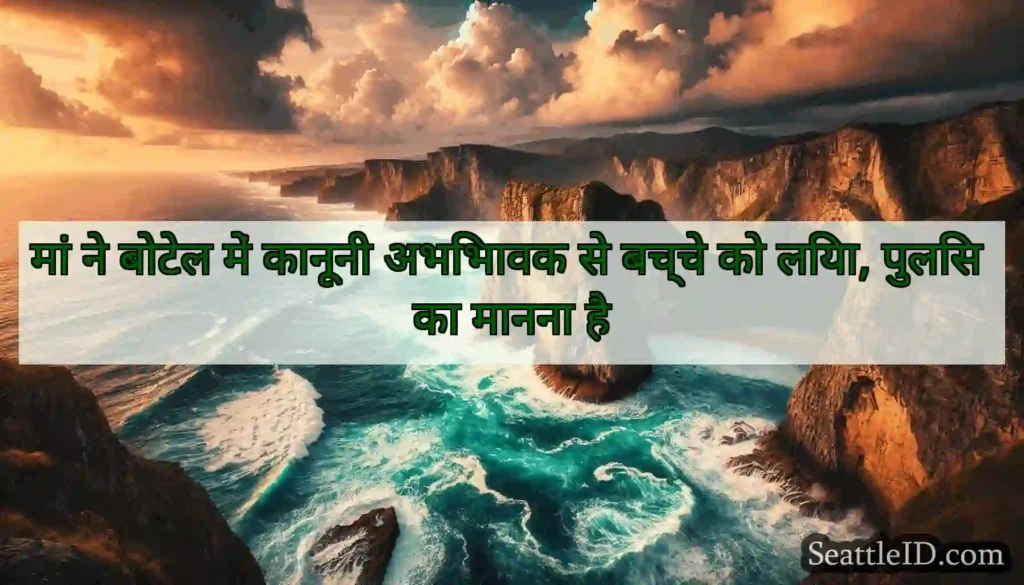 मां ने बोटेल में कानूनी अभिभावक से बच्चे को लिया,