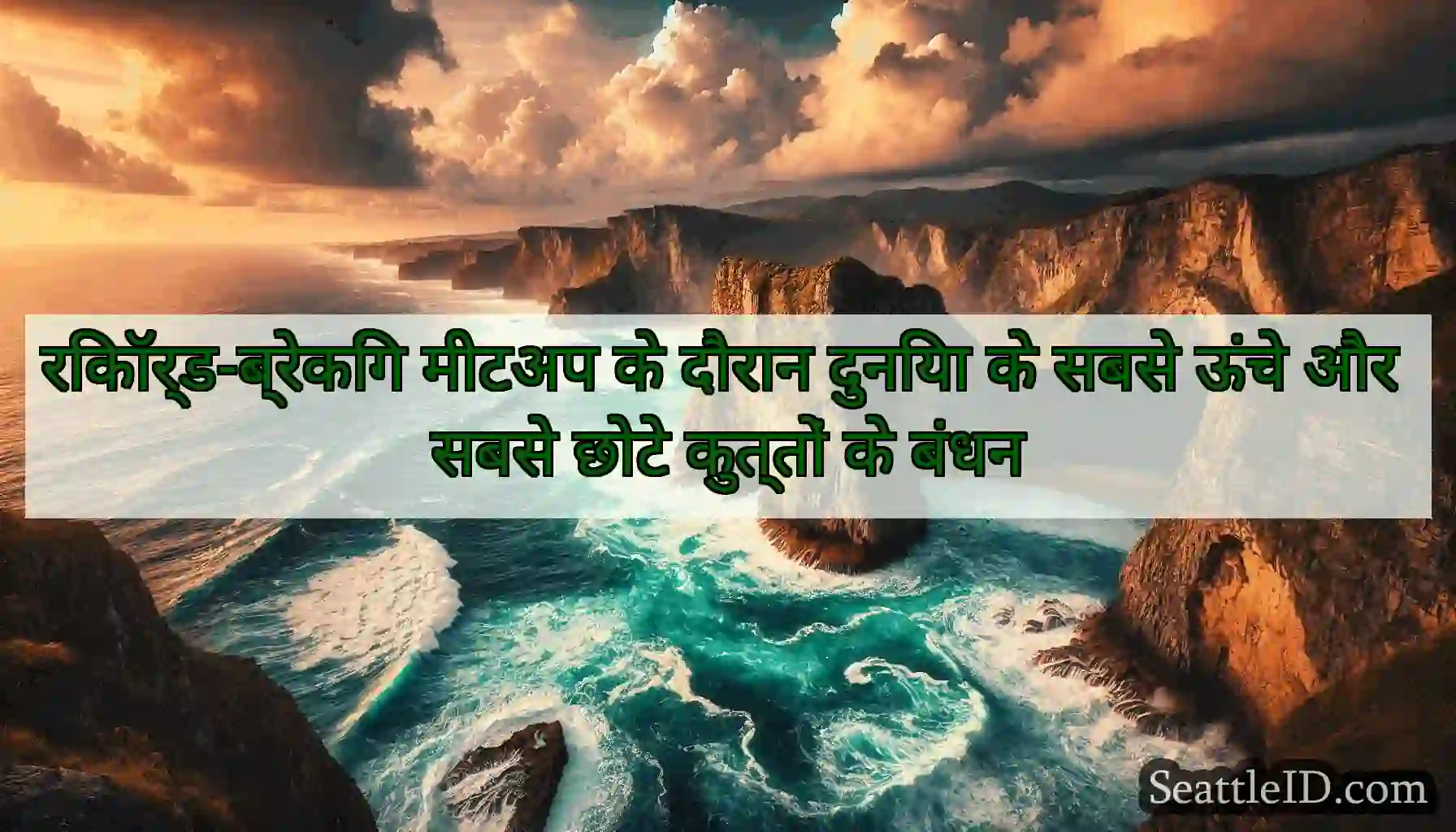 रिकॉर्ड-ब्रेकिंग मीटअप के दौरान दुनिया के सबसे