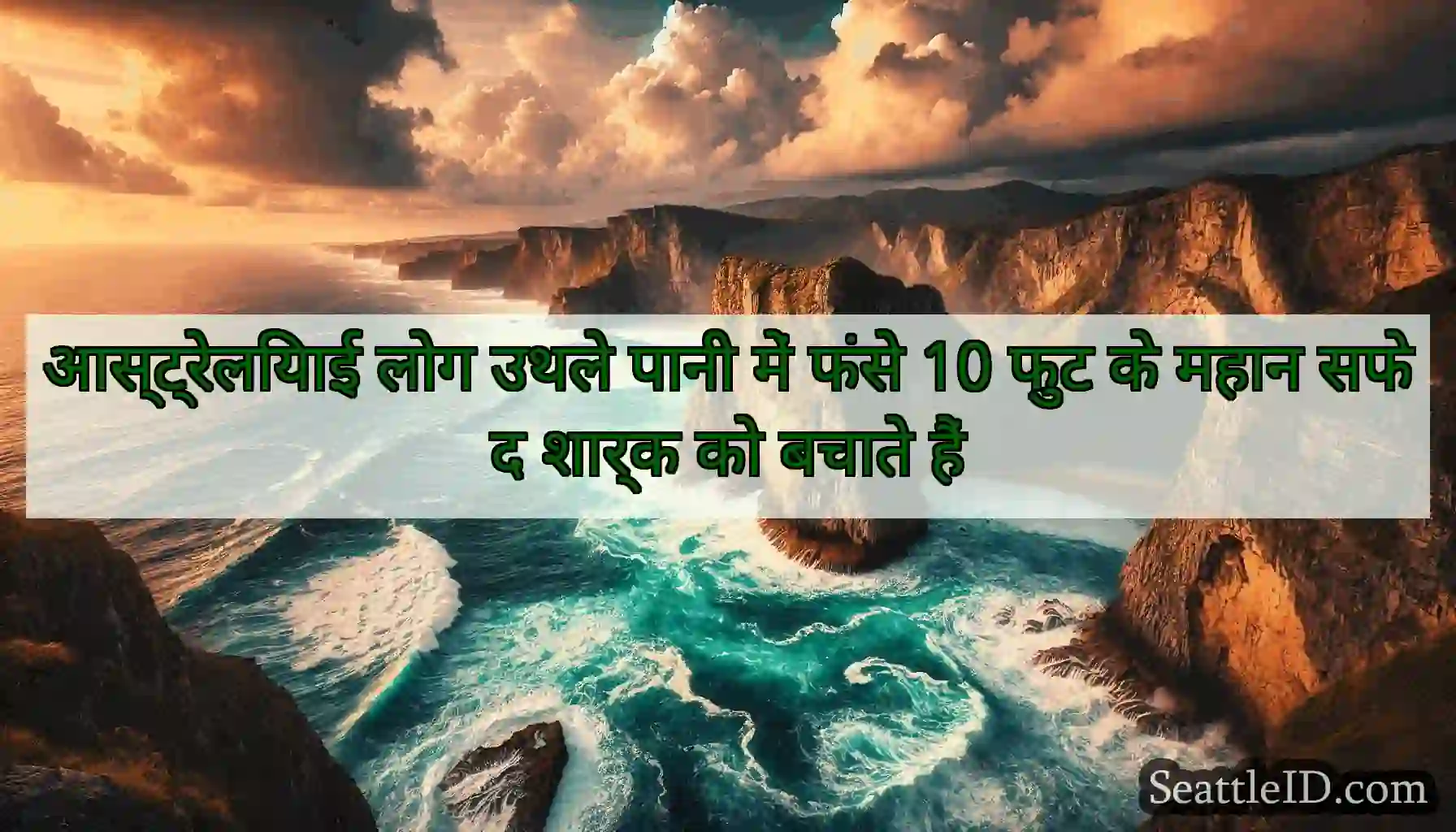 आस्ट्रेलियाई लोग उथले पानी में फंसे 10 फुट के