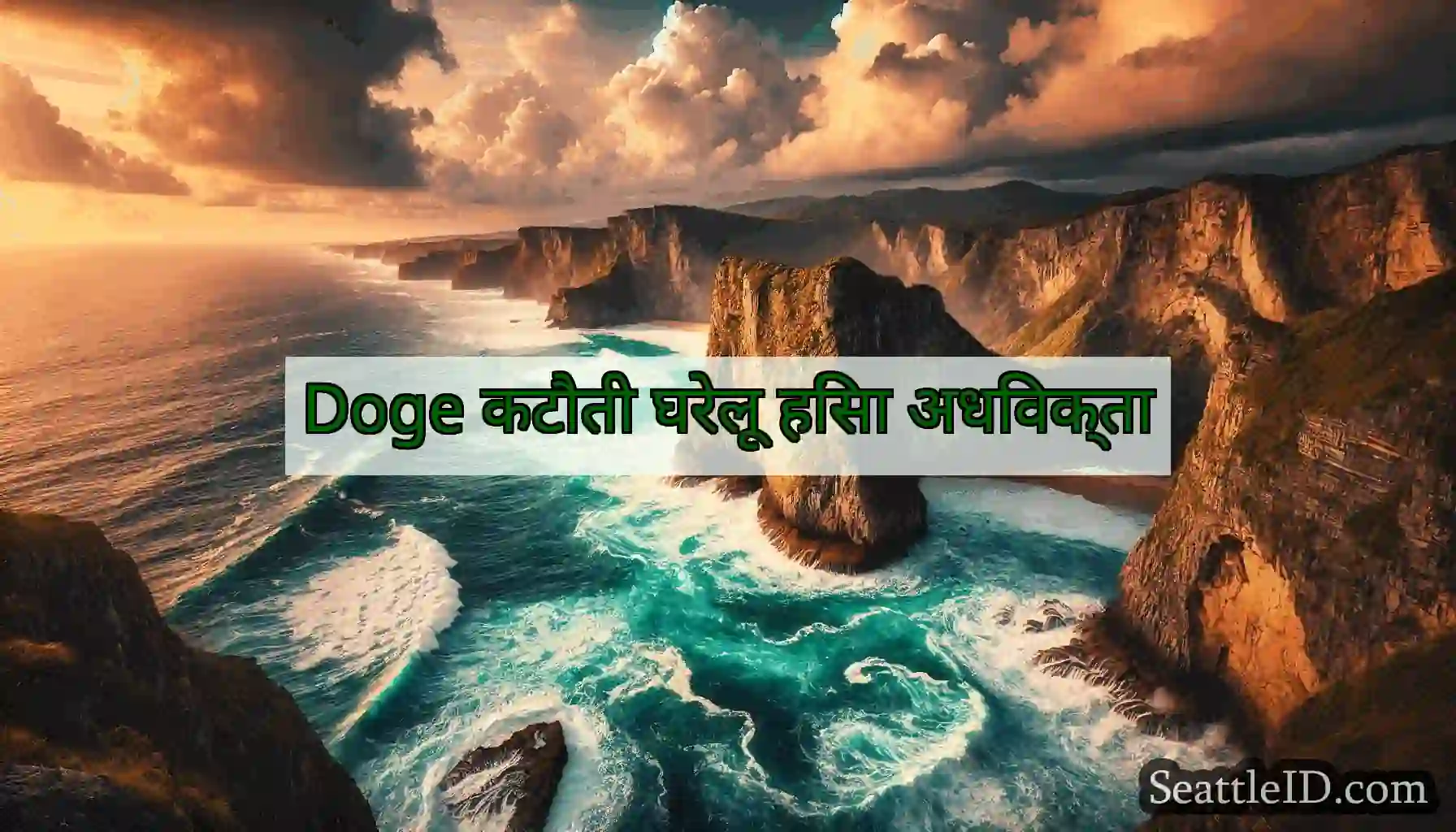 Doge कटौती घरेलू हिंसा अधिवक्ता