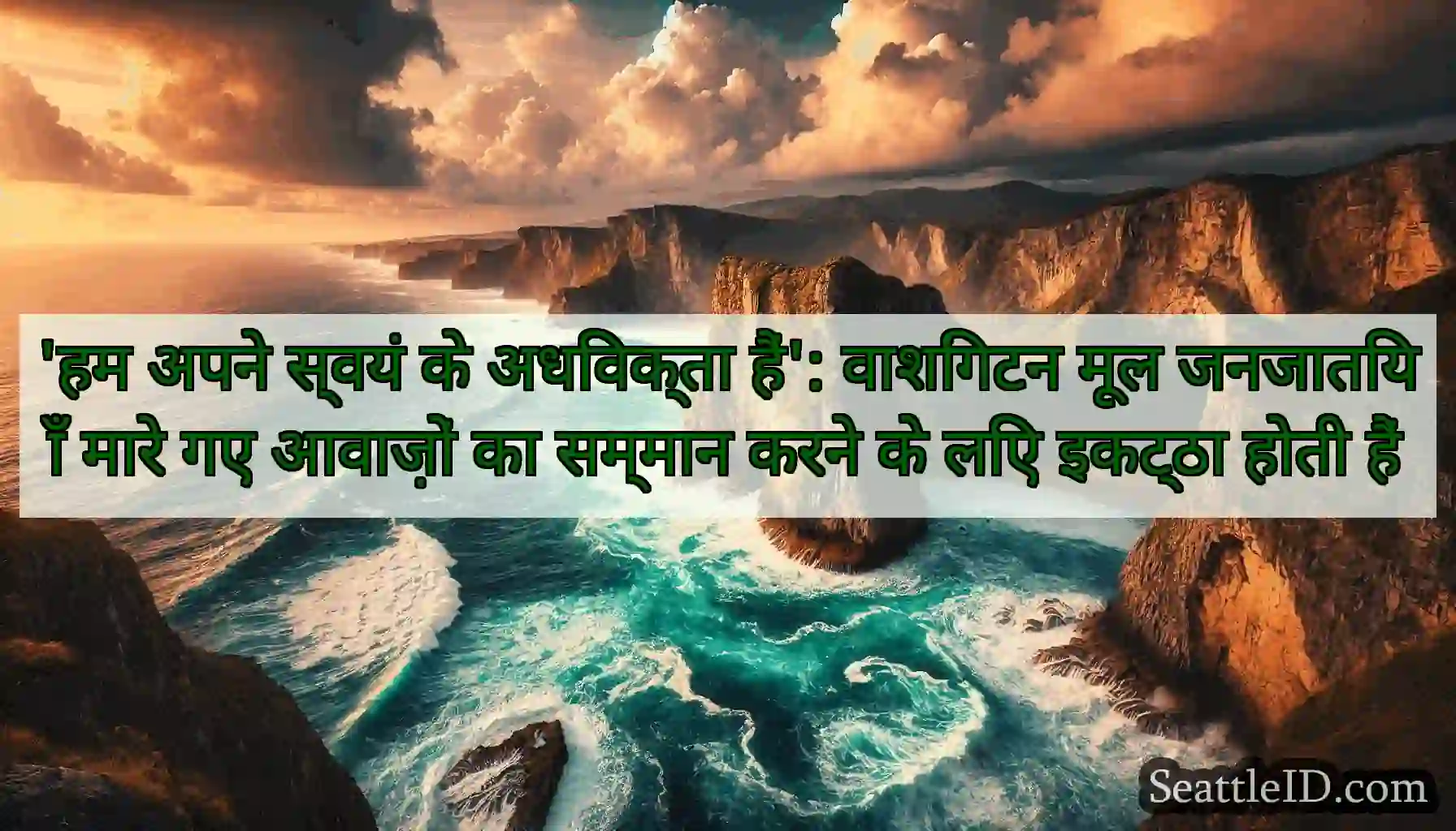'हम अपने स्वयं के अधिवक्ता हैं': वाशिंगटन मूल