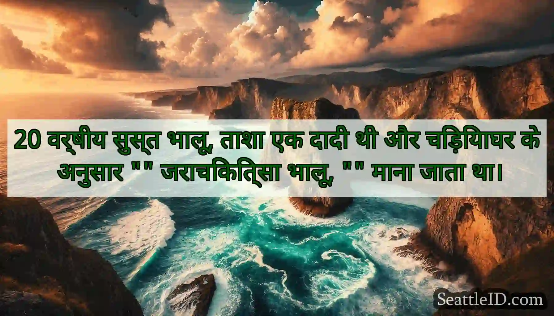 20 वर्षीय सुस्त भालू, ताशा एक दादी थी और