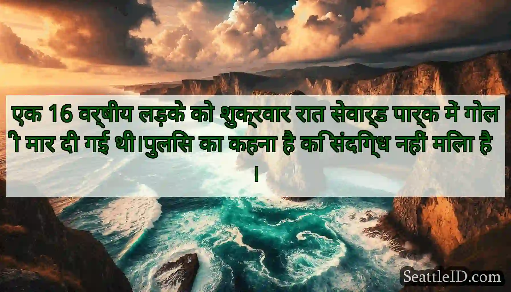 एक 16 वर्षीय लड़के को शुक्रवार रात सेवार्ड पार्क