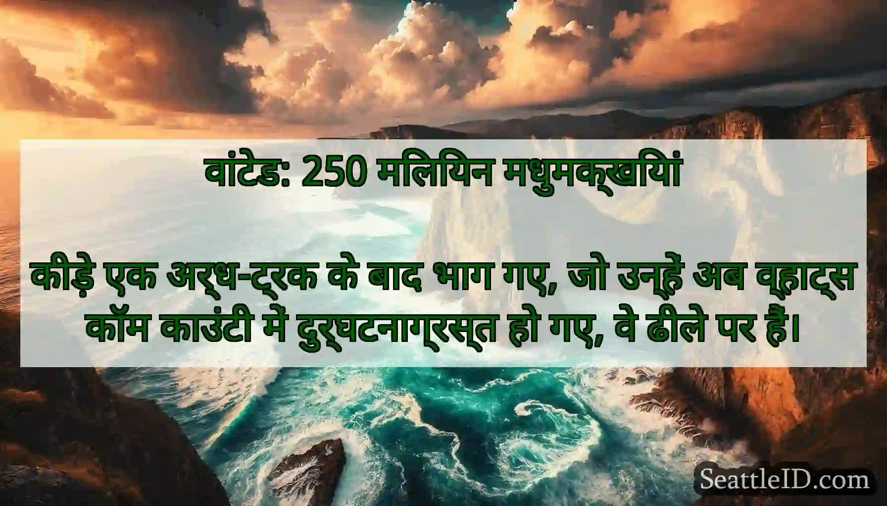 वांटेड: 250 मिलियन मधुमक्खियां