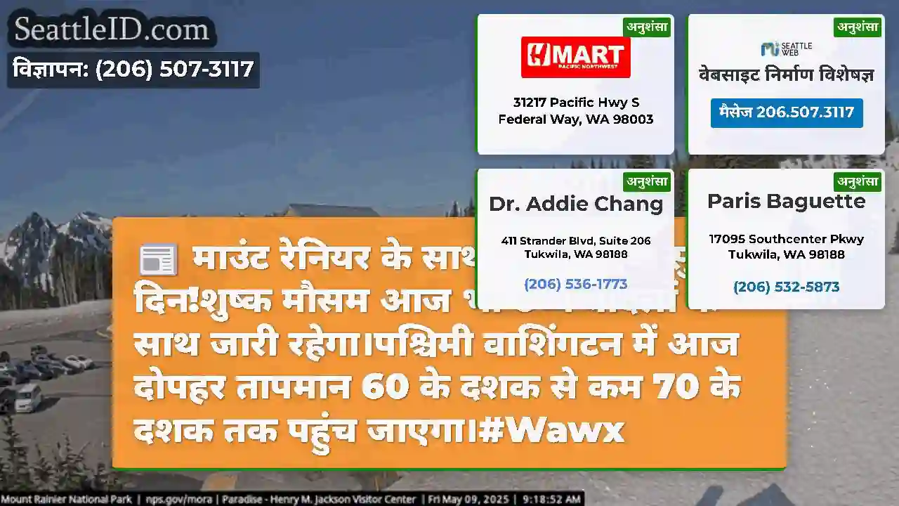 माउंट रेनियर के साथ स्वर्ग में एक सुंदर दिन!शुष्क