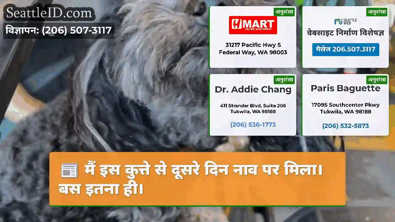 मैं इस कुत्ते से दूसरे दिन नाव पर मिला।बस इतना ही।