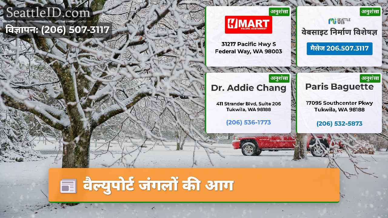वैल्युपोर्ट जंगलों की आग
