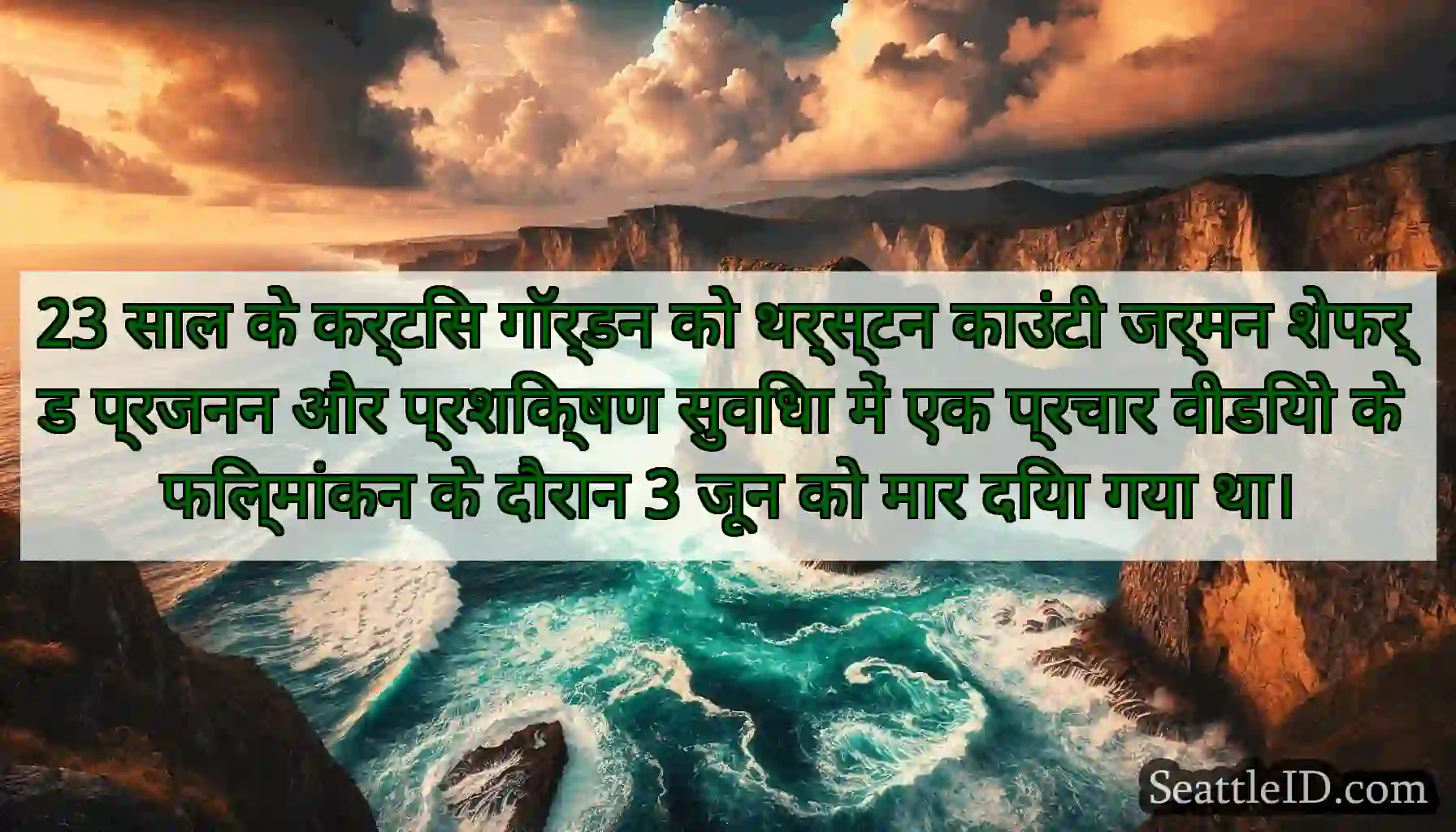 23 साल के कर्टिस गॉर्डन को थर्स्टन काउंटी जर्मन