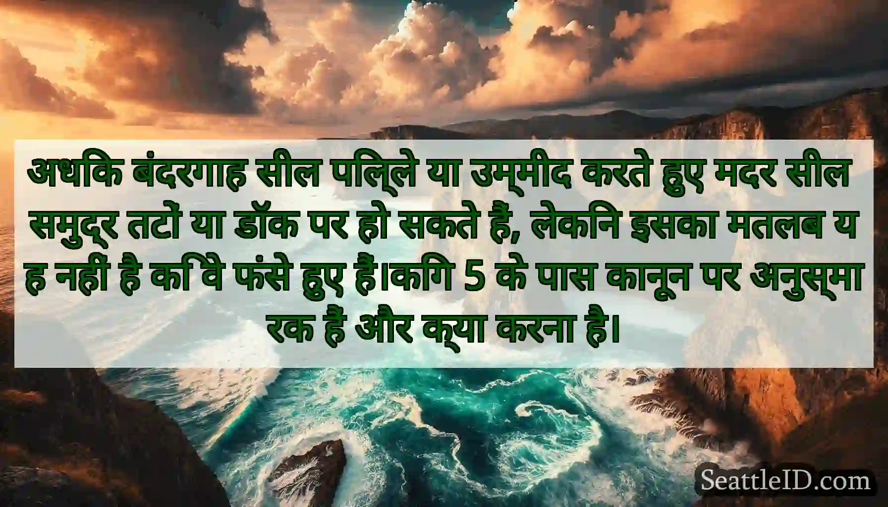 अधिक बंदरगाह सील पिल्ले या उम्मीद करते हुए मदर